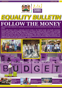 Equality Bulletin #34: Follow the Money